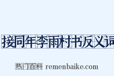接同年李雨村书反义词是什么意思的图片